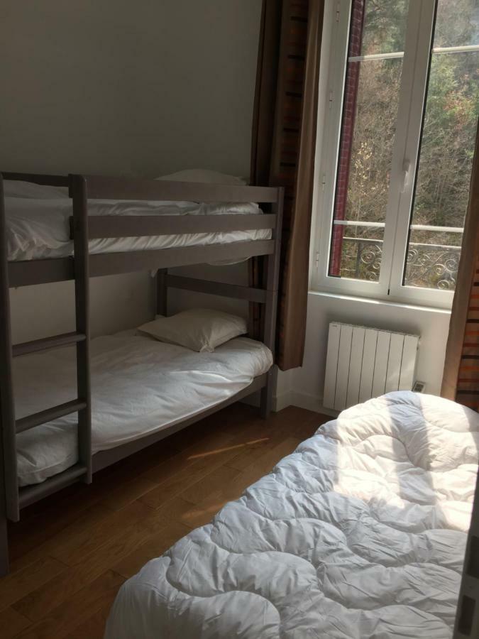 Magnifique Et Lumineux Appartement Au Coeur Du Sancy سانت-نيكتير المظهر الخارجي الصورة
